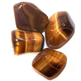 L Tumble Stones - Tiger Eye - Gold