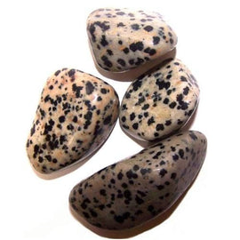 L Tumble Stones - Dalmation Stone