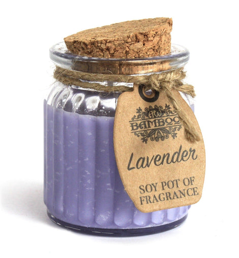 Lavender Soy Pot of Fragrance Candles