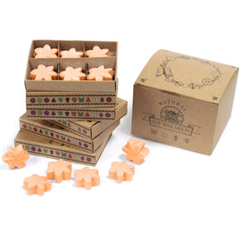 Box of 6  Wax Melts - Mango Fruits