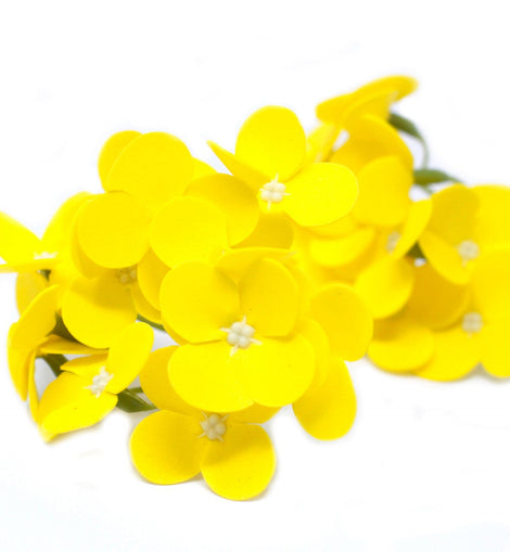 Craft Soap Flowers - Hyacinth Bean - Yellow