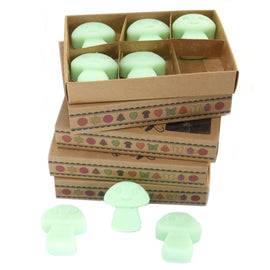 Box of 6  Wax Melts - Liquorice