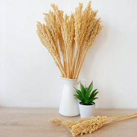 Cantal Grass Bunch - Natural