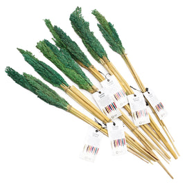 Cantal Grass Bunch - Teal