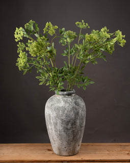 Faux Cow Parsley Ammi