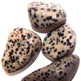 L Tumble Stones - Dalmation Stone