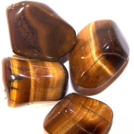 L Tumble Stones - Tiger Eye - Gold