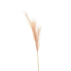 Faux Pampas Grass Stem