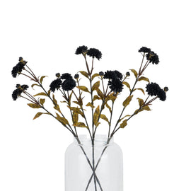 Black Chrysanthemum Stem