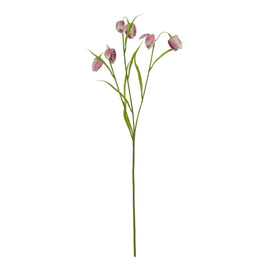 The Natural Garden Collection Purple Fritillaria Stem