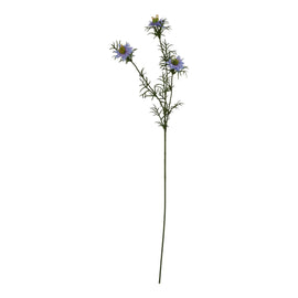 The Natural Garden Collection Purple Nigella Love In A Mist