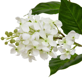 The Natural Garden Collection White Lilac Stem