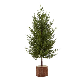 Small Gree Fir Tree In Wood Log