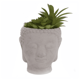 20cm Buddha Head Succulent