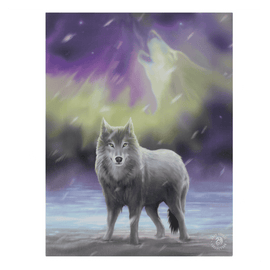 19x25cm Aurora Canvas Plaque by Anne Stokes