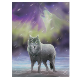 19x25cm Aurora Canvas Plaque by Anne Stokes